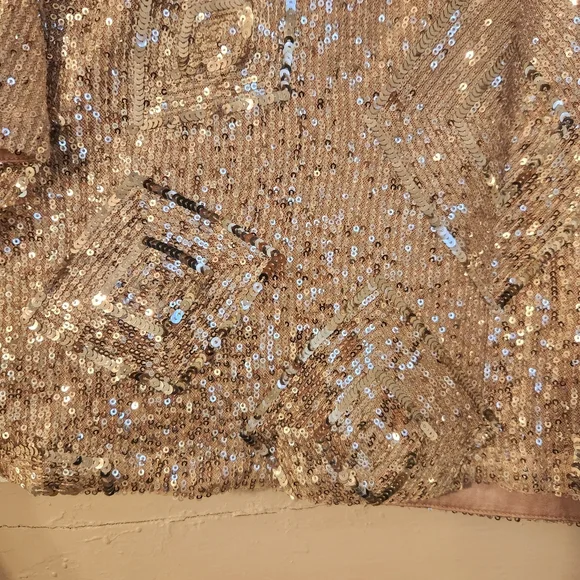 Skies Are Blue Top, Silver Sequined Cropped, Sz Small EUC Party, Cocktail, Club - Picture 7 of 14